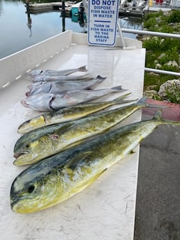 Fishing in Key West, Florida