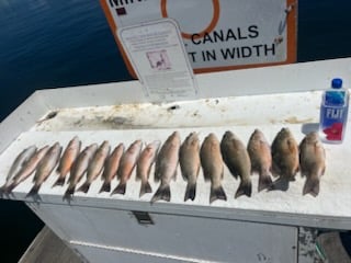 Fishing in Key West, Florida