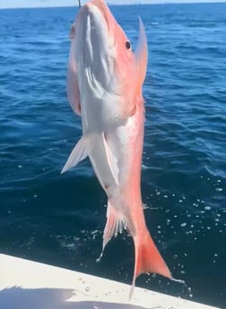 Fishing in Shalimar, Florida