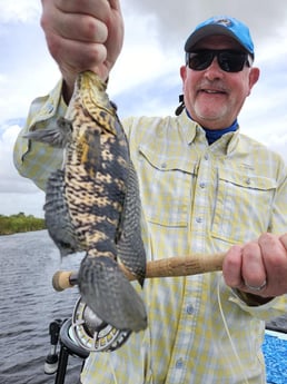 Fishing in Fort Lauderdale, Florida
