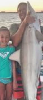 Blacktip Shark Fishing in Clearwater, Florida