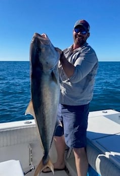 Amberjack fishing in Key West, Florida