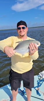 Fishing in Naples, Florida