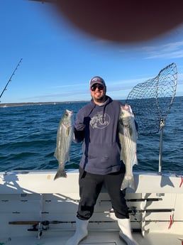 Striped Bass fishing in Montauk, New York