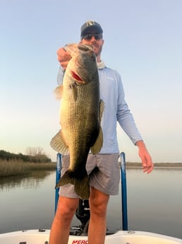 Largemouth Bass Fishing in Austin, Texas