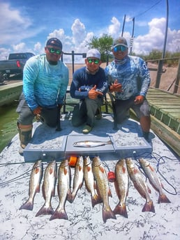 Redfish fishing in Rio Hondo, Texas