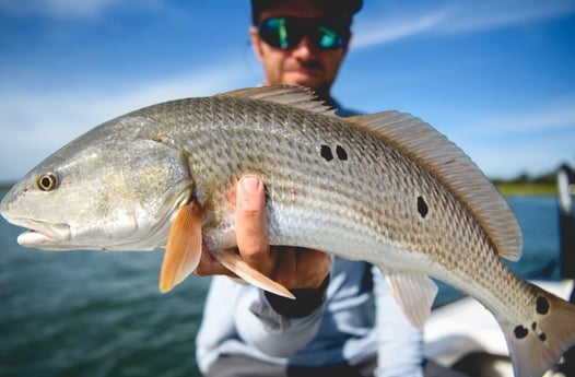 Redfish Fishing in Wrightsville Beach, North Carolina