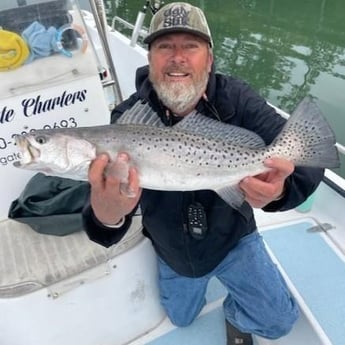 Speckled Trout / Spotted Seatrout Fishing in Trails End Road, Wilmington, N, North Carolina