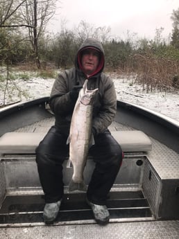 Coho Salmon fishing in Toledo, Washington
