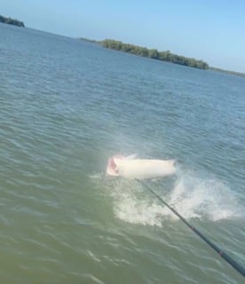 Fishing in Marco Island, Florida