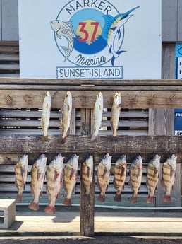 Fishing in Corpus Christi, Texas