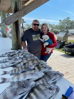 Fishing in Gulf Shores, Alabama