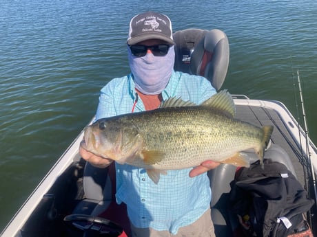 Largemouth Bass fishing in Zapata, Texas