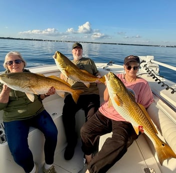 Fishing in Pensacola Beach, Florida