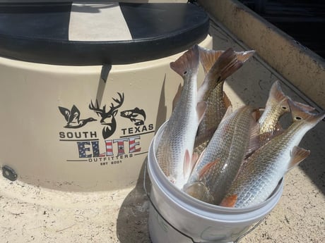 Fishing in Port Isabel, Texas