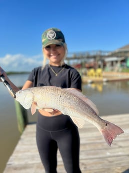 Redfish Fishing in Matagorda, Texas