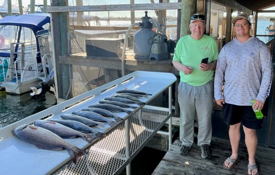 Redfish, Speckled Trout / Spotted Seatrout Fishing in Crystal River, Florida