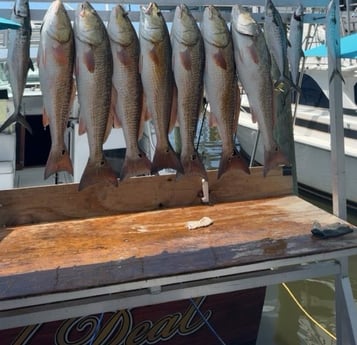 Fishing in Biloxi, Mississippi