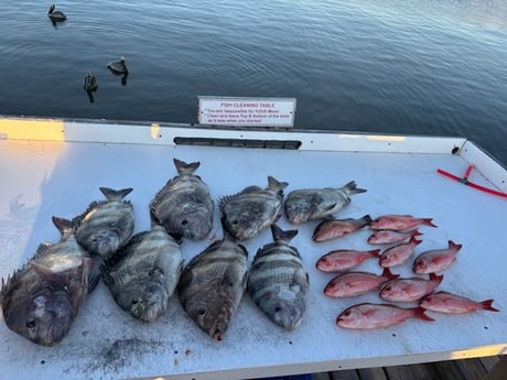 Fishing in Foley, Alabama