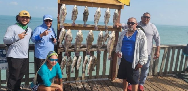 Black Drum, Redfish Fishing in Port Isabel, Texas
