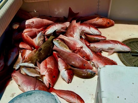 Fishing in Panama City Beach, Florida