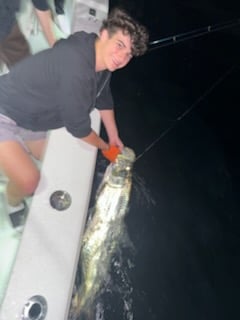 Fishing in Miami, Florida