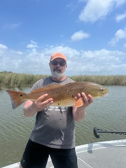 Redfish Fishing in Boothville-Venice, LA, USA