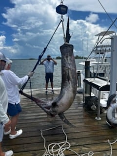 Fishing in St. Petersburg, Florida
