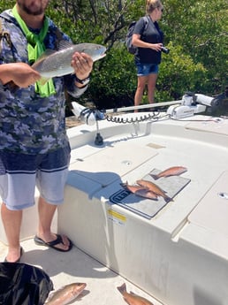 Fishing in St. Petersburg, Florida