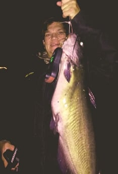 Blue Catfish Fishing in Briarcliff, Texas