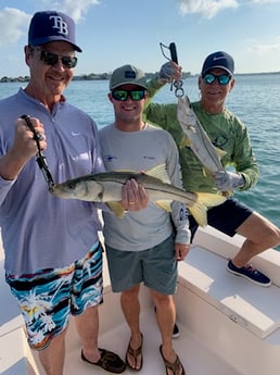Fishing in Sarasota, Florida
