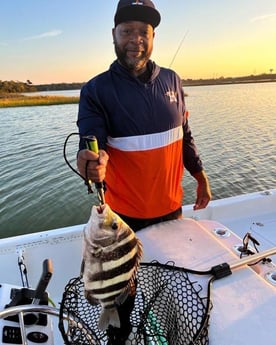 Sheepshead Fishing in Galveston, Texas