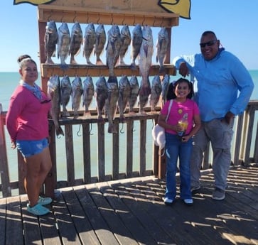 Black Drum, Redfish Fishing in Port Isabel, Texas