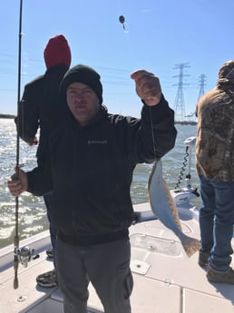Flounder Fishing in League City, Texas