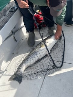 Fishing in Keyport, New Jersey