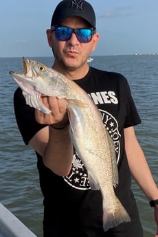 Speckled Trout / Spotted Seatrout fishing in Galveston, Texas