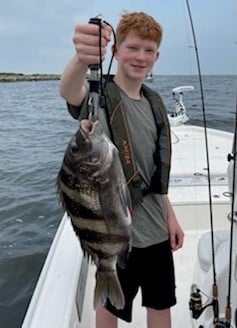 Sheepshead fishing in Saint Bernard, Louisiana