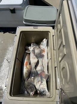 Fishing in Rockport, Texas