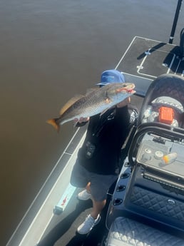 Fishing in Indian Rocks Beach, Florida
