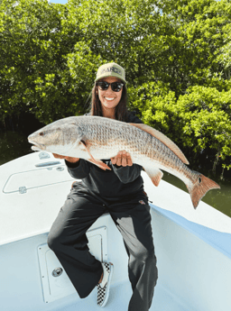 Redfish Fishing in Tampa, Florida