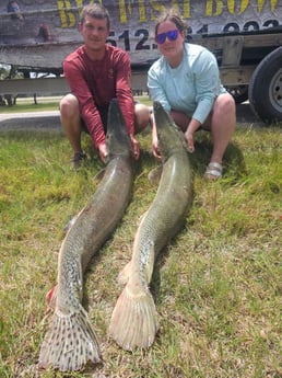Fishing in Houston, Texas