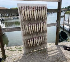 Walleye Fishing in Oak Harbor, Ohio