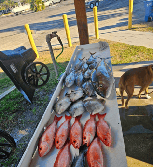 Fishing in Jacksonville, Florida