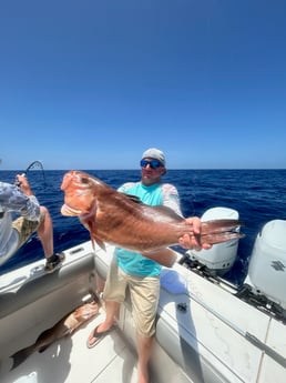 Fishing in Sarasota, Florida
