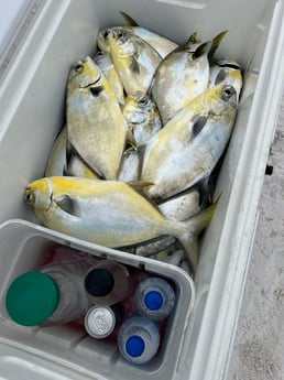 Fishing in Niceville, Florida