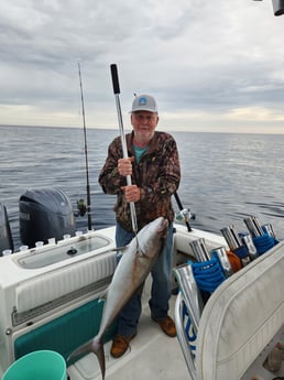 Fishing in Wilmington, North Carolina