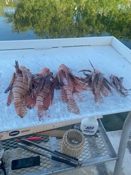 Fishing in Key West, Florida
