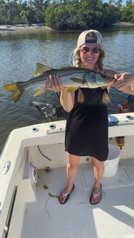 Fishing in Bradenton, Florida