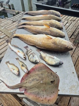 Fishing in Galveston, Texas