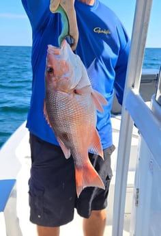 Fishing in Orange Beach, Alabama